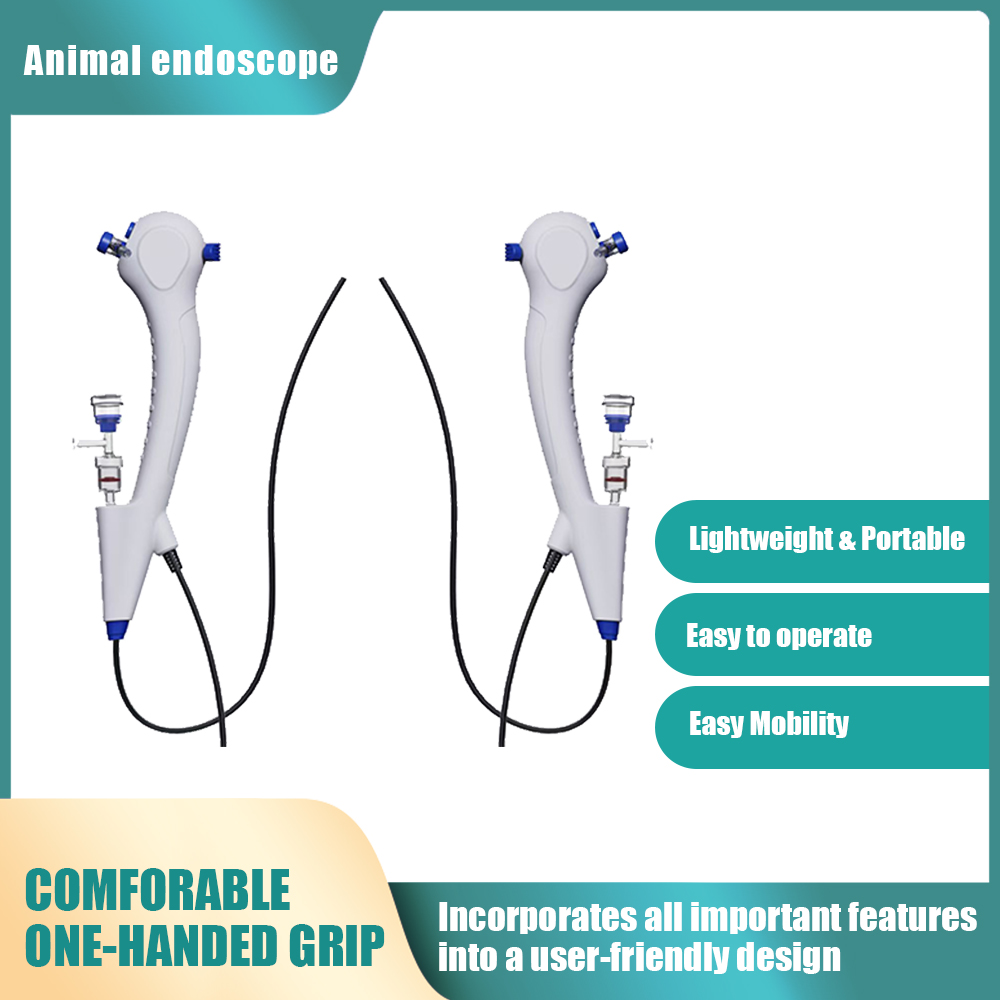 유연성 내시경, 1.95mm/2.5mm/3mm/4.3m - Vet Tech Accessories 리뷰 및 가격